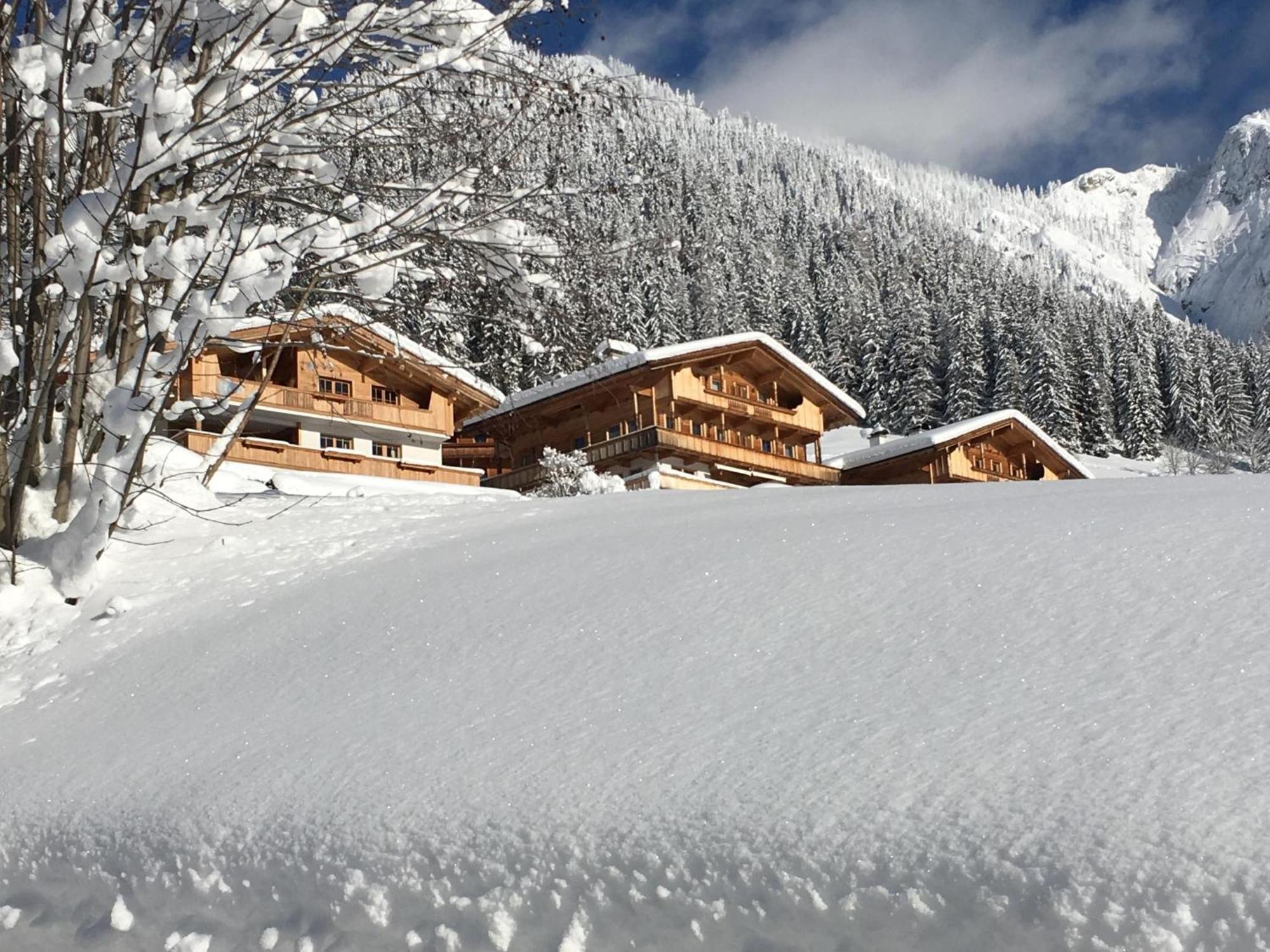 Haus Fernwald Top Tim Und Nynke Альпбах Екстер'єр фото